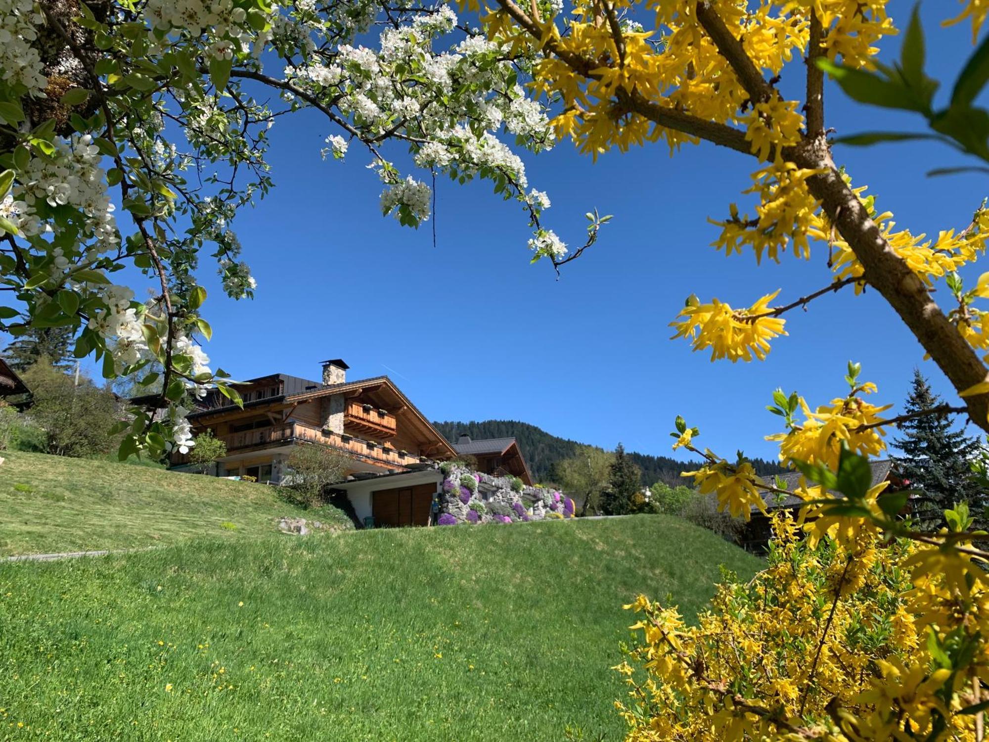 अपार्टमेंट La Renarde Villars-sur-Ollon